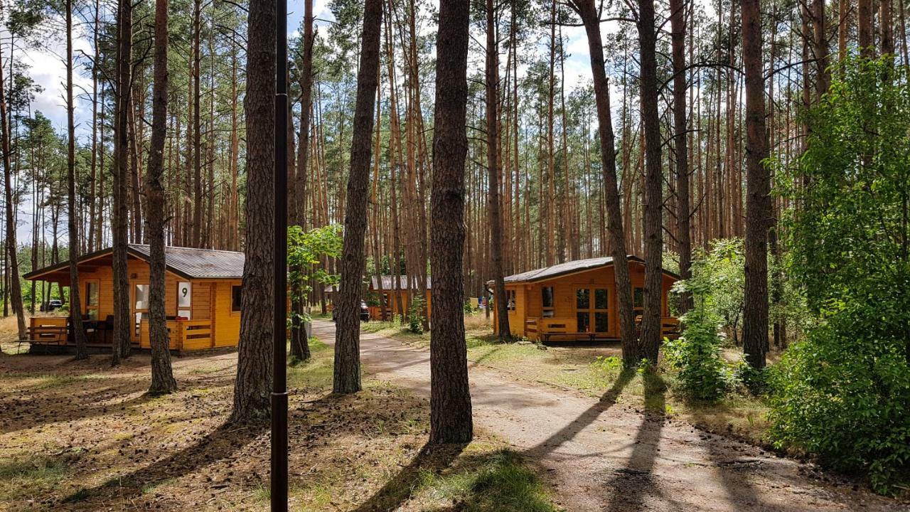 Отель Osrodek Wypoczynkowy Nad Brda Тухоля Экстерьер фото
